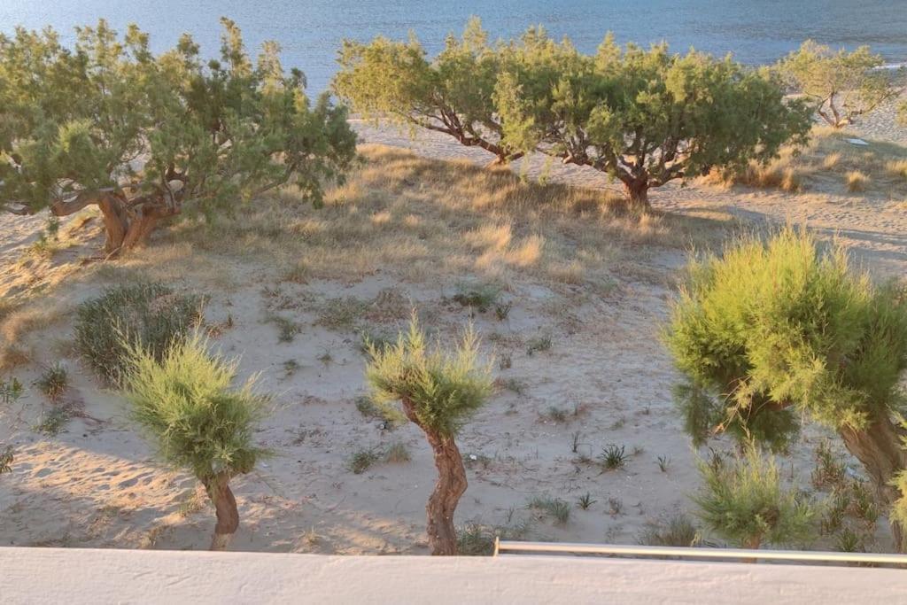 Вілла Aegean Dream House Kamares  Екстер'єр фото